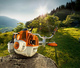 STIHL FS490 C-EM K RAIVAUSSAHA SIS HP TERÄ JA EXTREEM